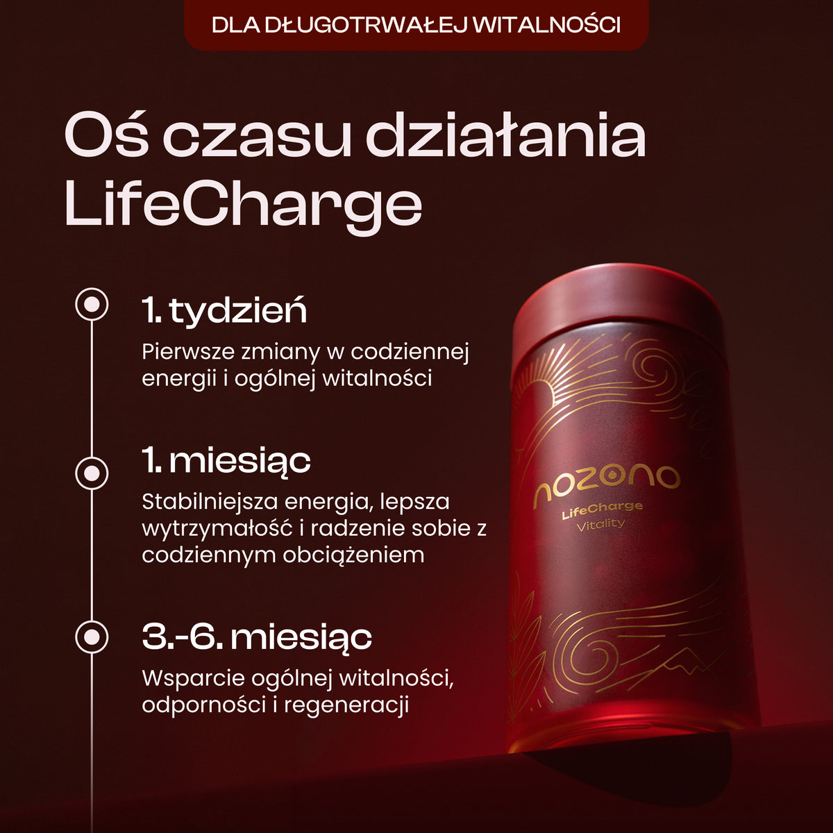 LifeCharge