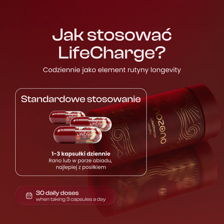 LifeCharge