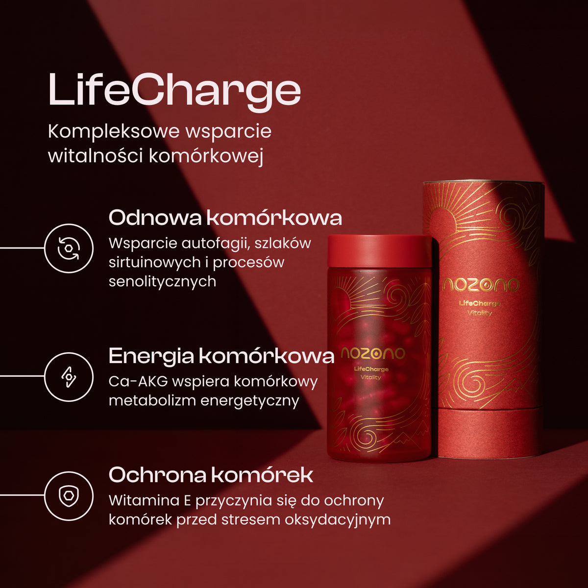 LifeCharge